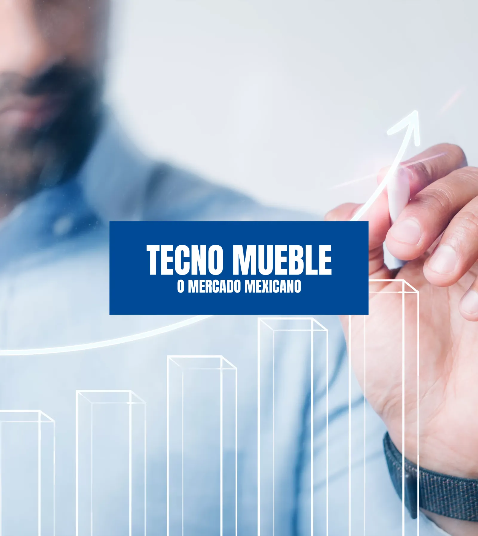 Tecno Mueble e o mercado mexicano